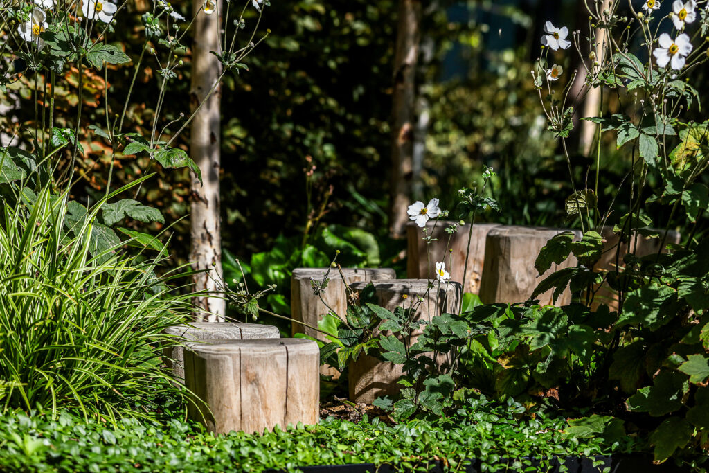 Regents View Landscaping