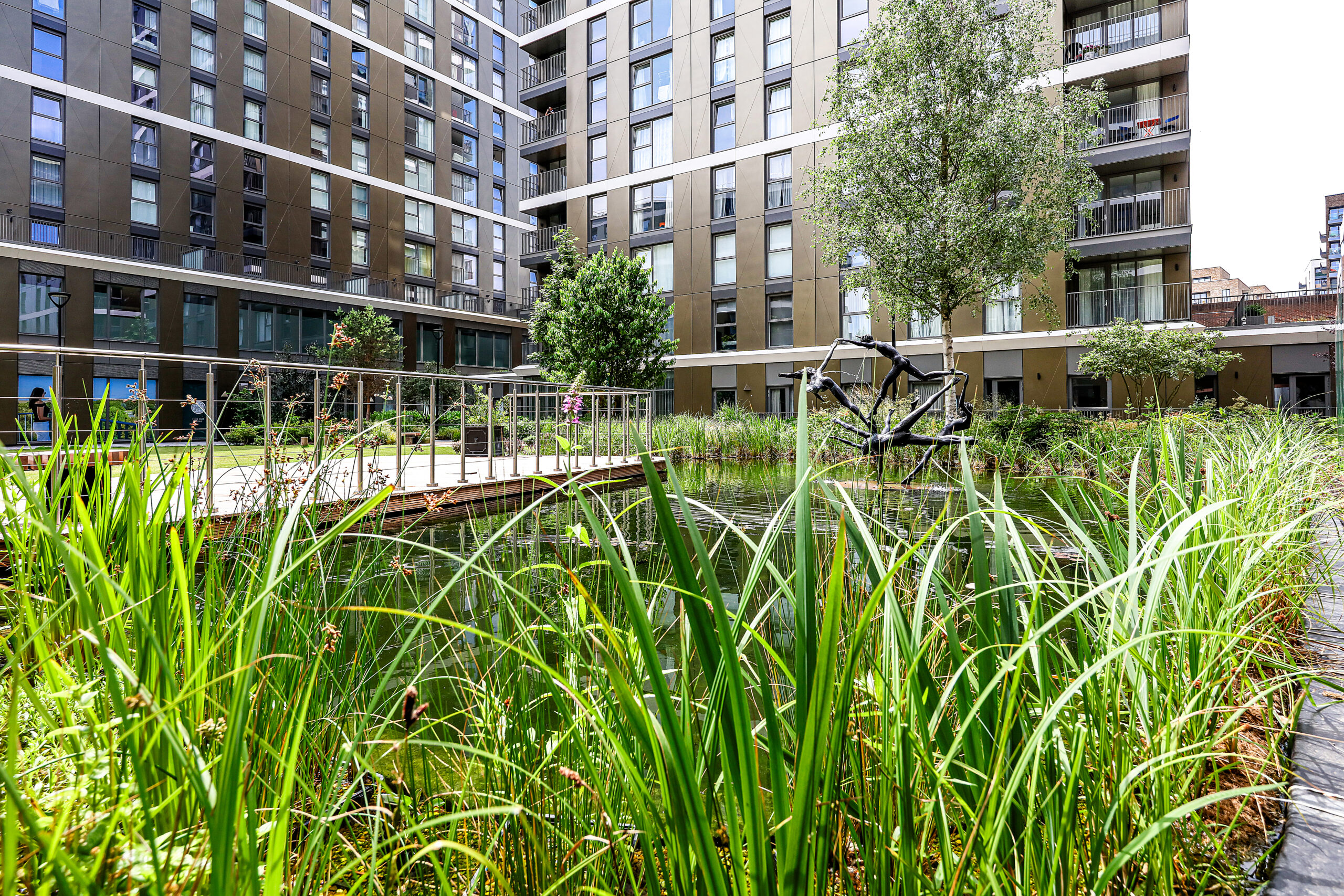 Trees and soft landscaping in the communal gardens at Eden Grove